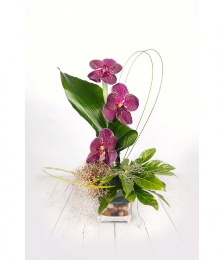 Arrangement three orchids in a crystal vase