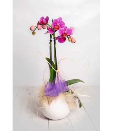 Orchids mini ceramics